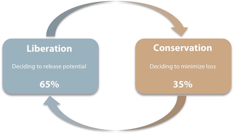Your decision-making tendency toward Liberation or Conservation